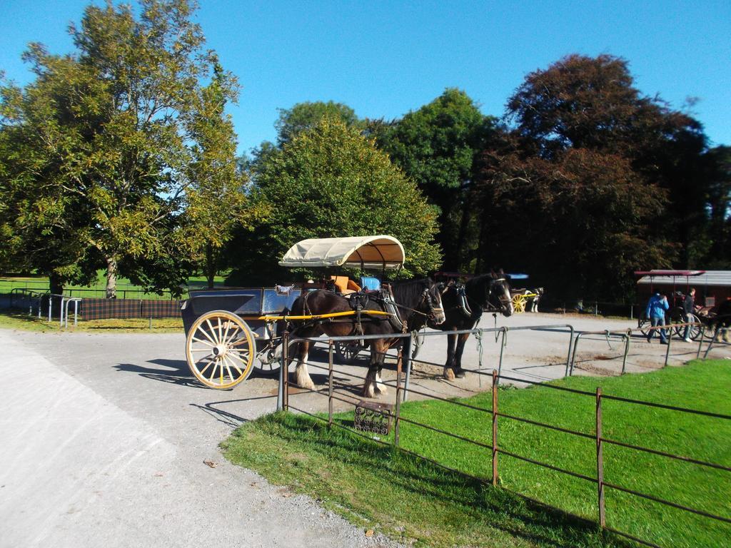 No 1 Killarney Holiday Village Vacation Home Zimmer foto